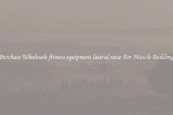 Purchase Wholesale fitness equipment lateral raise For Muscle Building.