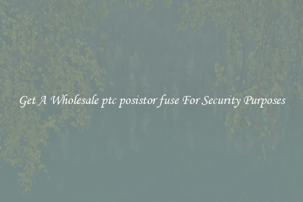 Get A Wholesale ptc posistor fuse For Security Purposes