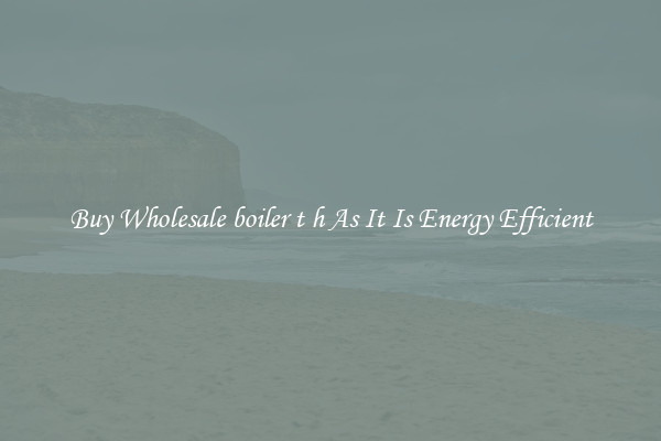 Buy Wholesale boiler t h As It Is Energy Efficient