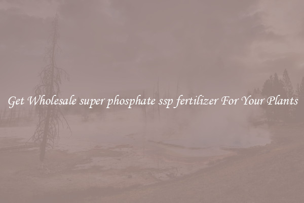 Get Wholesale super phosphate ssp fertilizer For Your Plants