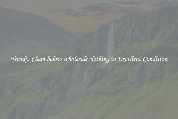 Trendy, Clean below wholesale clothing in Excellent Condition