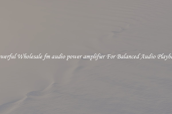 Powerful Wholesale fm audio power amplifier For Balanced Audio Playback