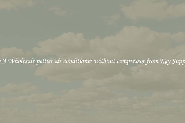 Buy A Wholesale peltier air conditioner without compressor from Key Suppliers