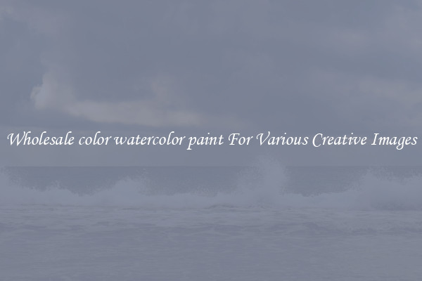 Wholesale color watercolor paint For Various Creative Images