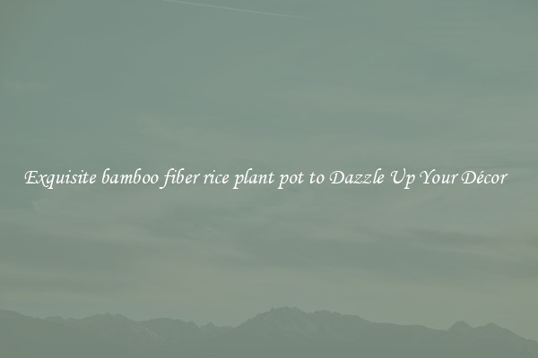 Exquisite bamboo fiber rice plant pot to Dazzle Up Your Décor  