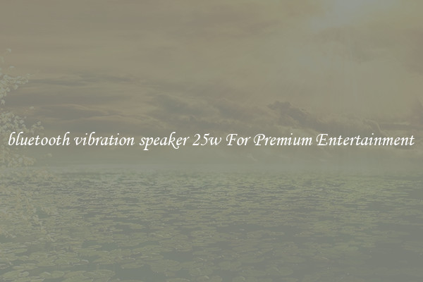 bluetooth vibration speaker 25w For Premium Entertainment 
