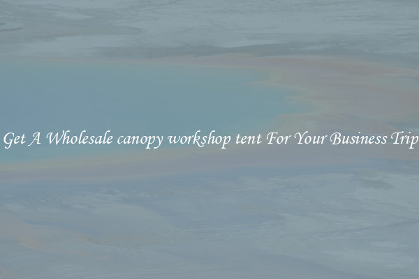 Get A Wholesale canopy workshop tent For Your Business Trip