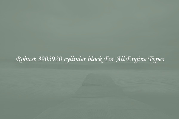 Robust 3903920 cylinder block For All Engine Types