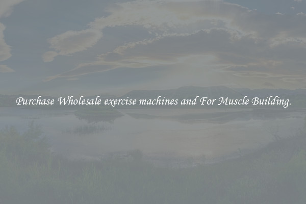 Purchase Wholesale exercise machines and For Muscle Building.
