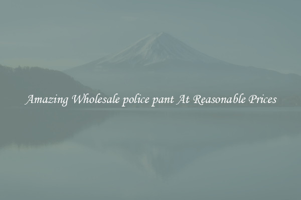 Amazing Wholesale police pant At Reasonable Prices