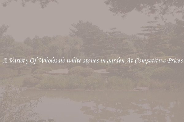 A Variety Of Wholesale white stones in garden At Competitive Prices