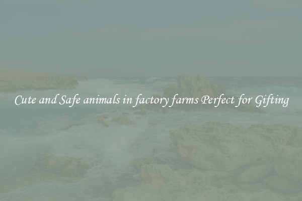 Cute and Safe animals in factory farms Perfect for Gifting