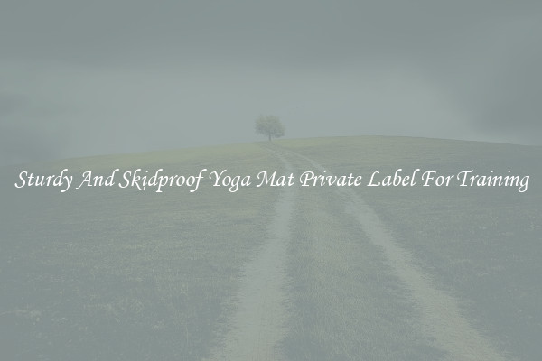 Sturdy And Skidproof Yoga Mat Private Label For Training