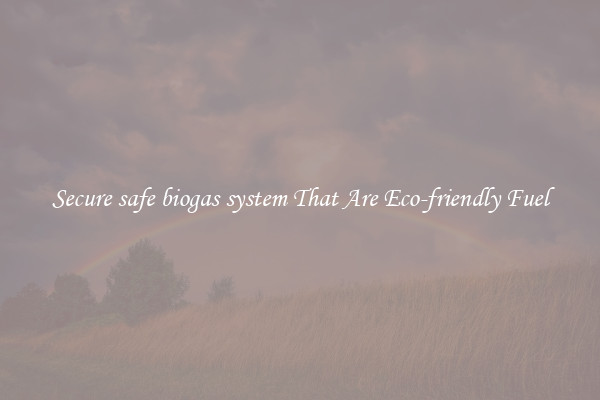 Secure safe biogas system That Are Eco-friendly Fuel
