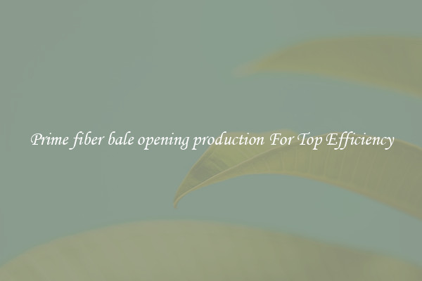 Prime fiber bale opening production For Top Efficiency