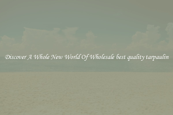 Discover A Whole New World Of Wholesale best quality tarpaulin