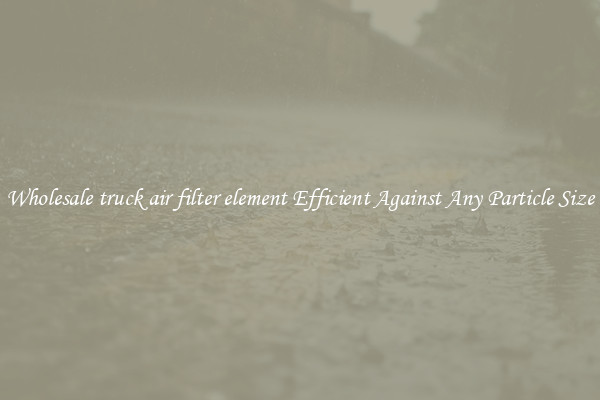 Wholesale truck air filter element Efficient Against Any Particle Size